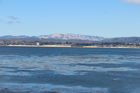 �������� � ��������